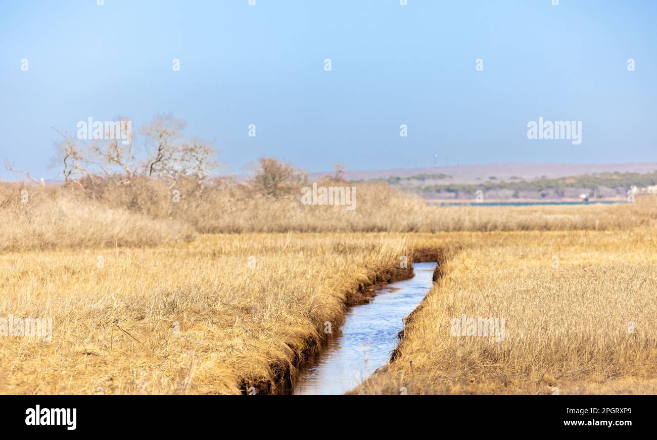 Kleiner Kanal mit Wasser in einer Feuchtlandschaft Stockfoto