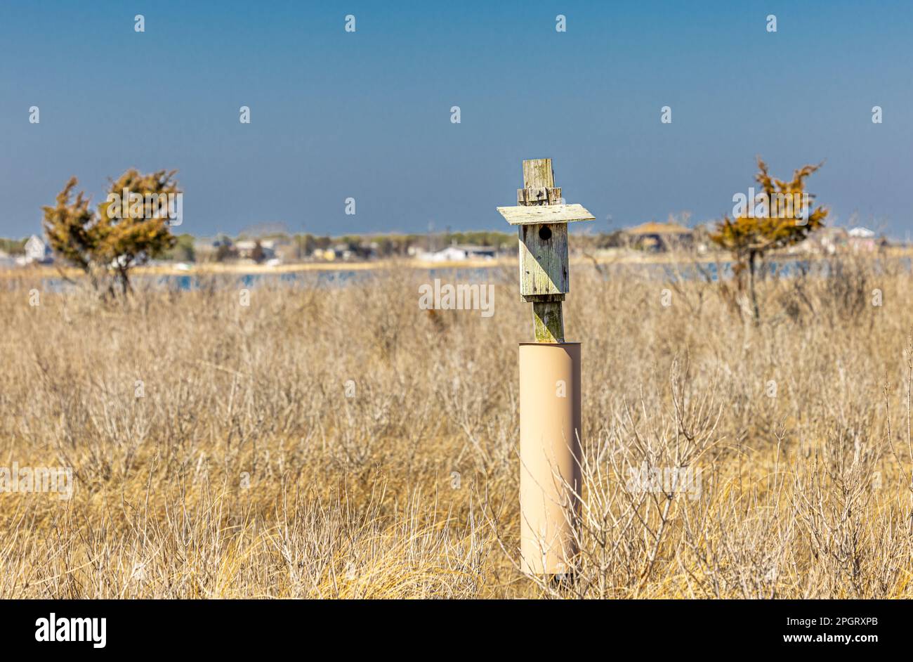 Altes verwittertes Vogelhaus auf einem Pfosten in Feuchtgebieten Stockfoto