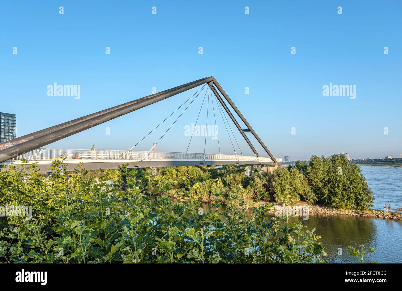 Fußgängerbrücke am Düsseldorfer Medienhafen, NRW, Deutschland Stockfoto