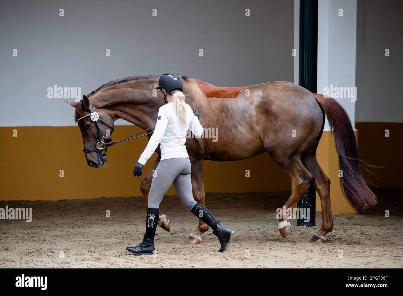 Königliche andalusische Reitschule, Jerez de la Frontera, Spanien. 24. März 2022. Morgan Barbancalon Mestre (FRA) mit Habana Libre A (KWPN) Stockfoto