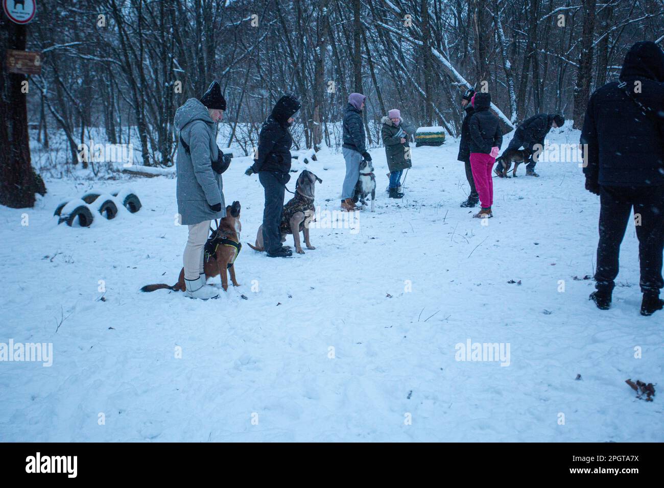 Hundetraining im Dezember 2022 bleiben Männer und Frauen mit ihren sitzenden Haustieren auf dickem, weißem Schnee am Stadtrand von Kiew, Ukraine Stockfoto