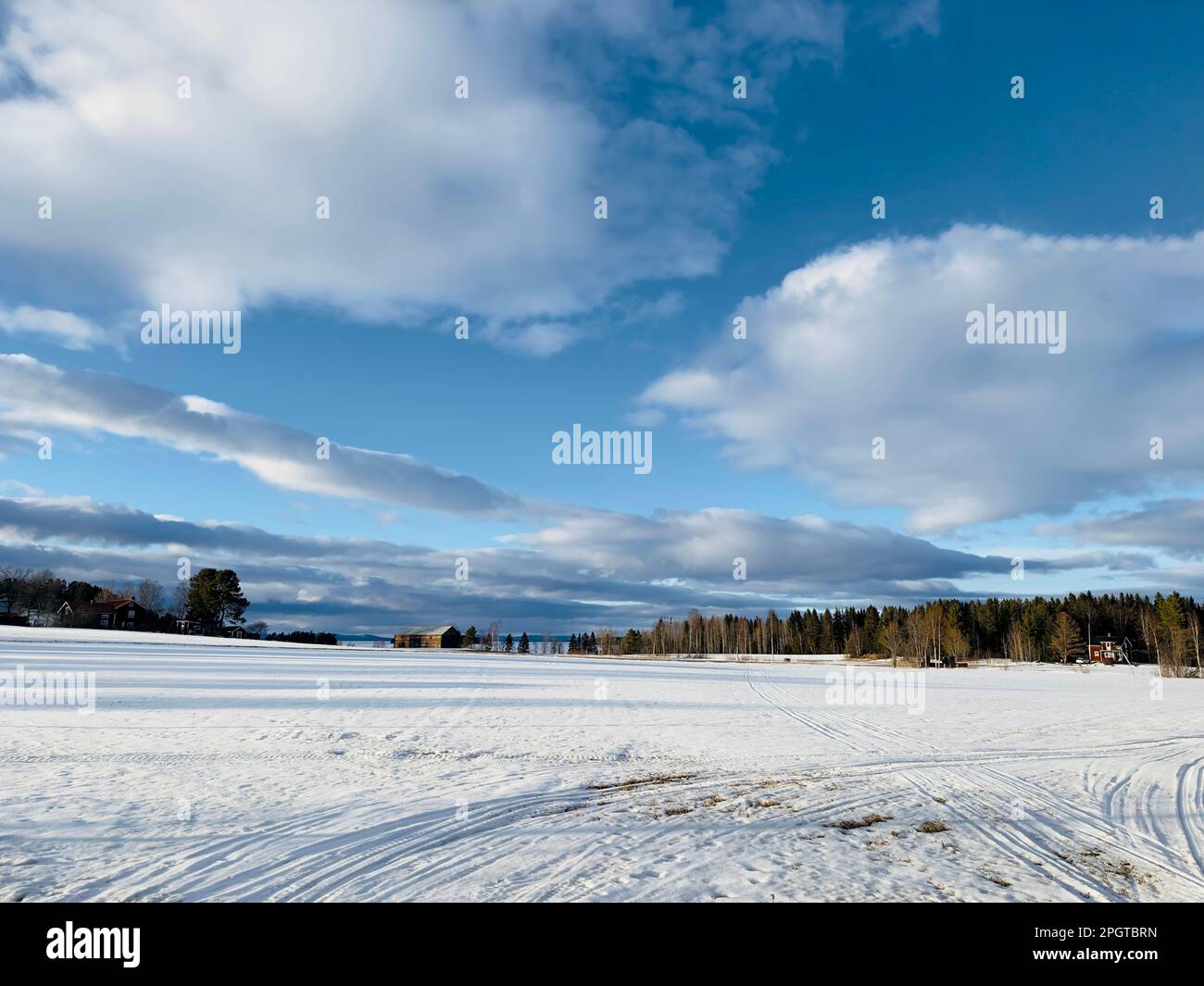 Riesiges schneebedecktes Feld unter einem dramatischen Himmel in Nordschweden Stockfoto