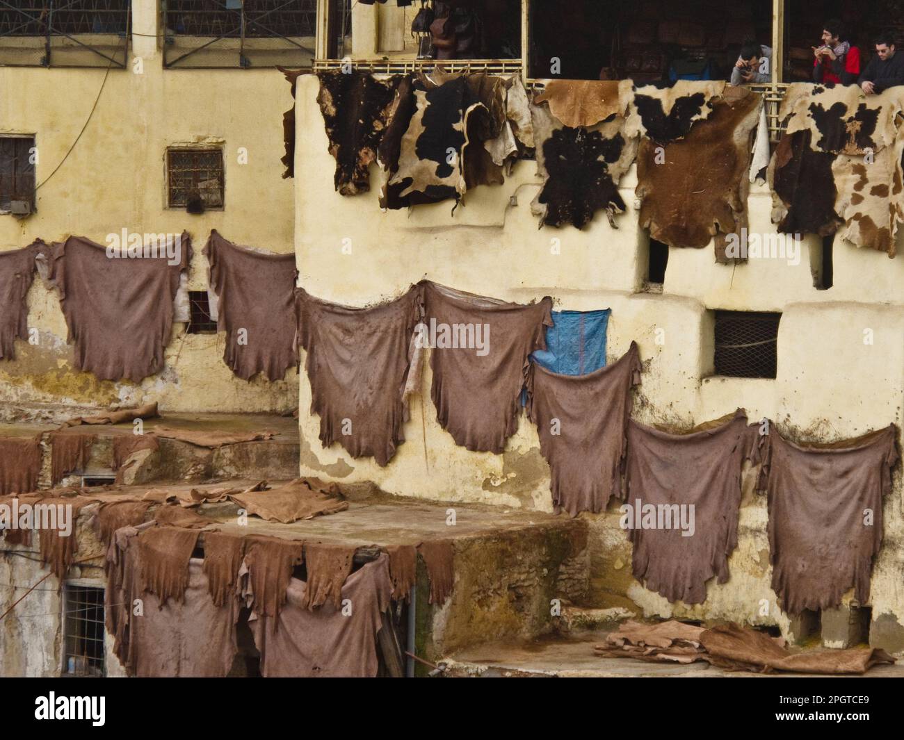 Gerbereien, Fez Stockfoto