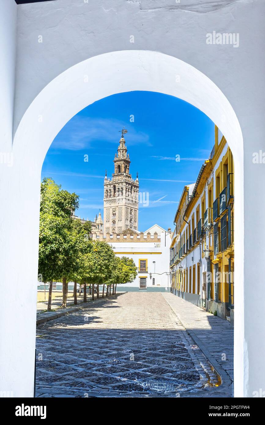 Blick auf die Turmglocke der Kathedrale von Sevilla vom Viertel Santa Cruz, in der Altstadt von Sevilla, Andalusien, Spanien Stockfoto