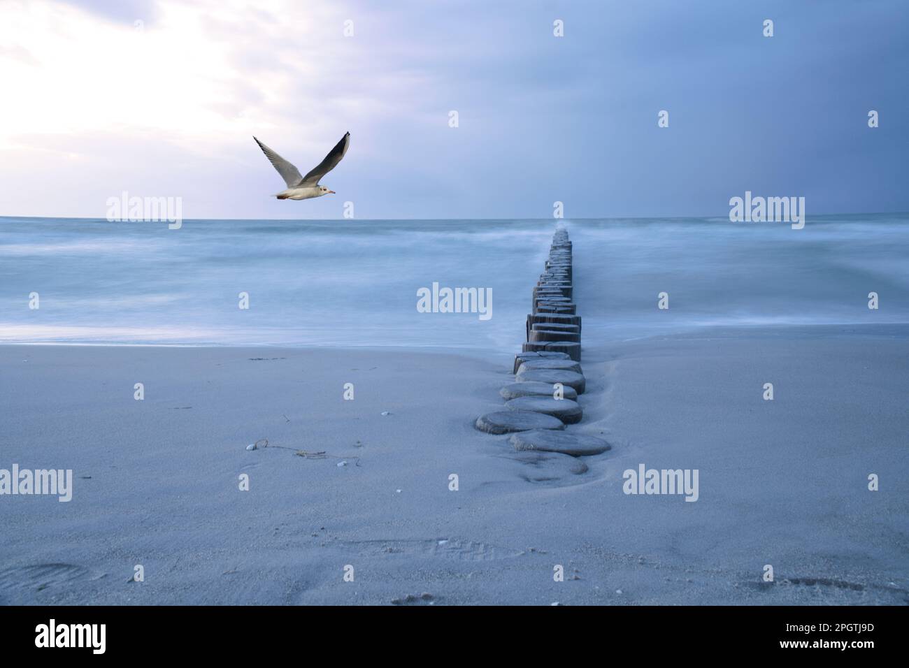 Komposition an der Ostsee mit groyne und langjähriger Exposition. Im Himmel eine Möwe. Landschaftsaufnahme Stockfoto