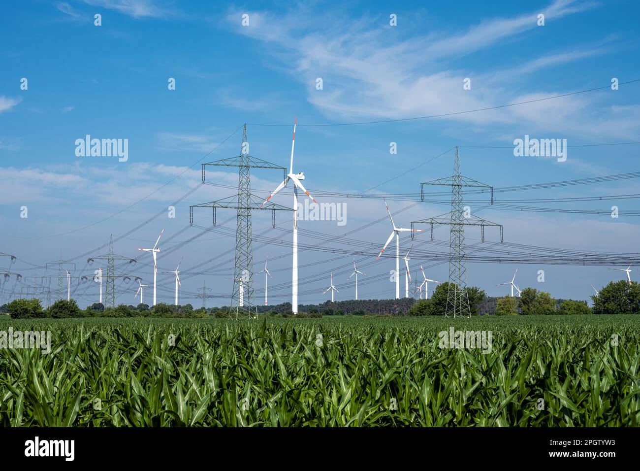 Pfeiler, Stromleitungen und Windturbinen mit Maisfeld in Deutschland Stockfoto