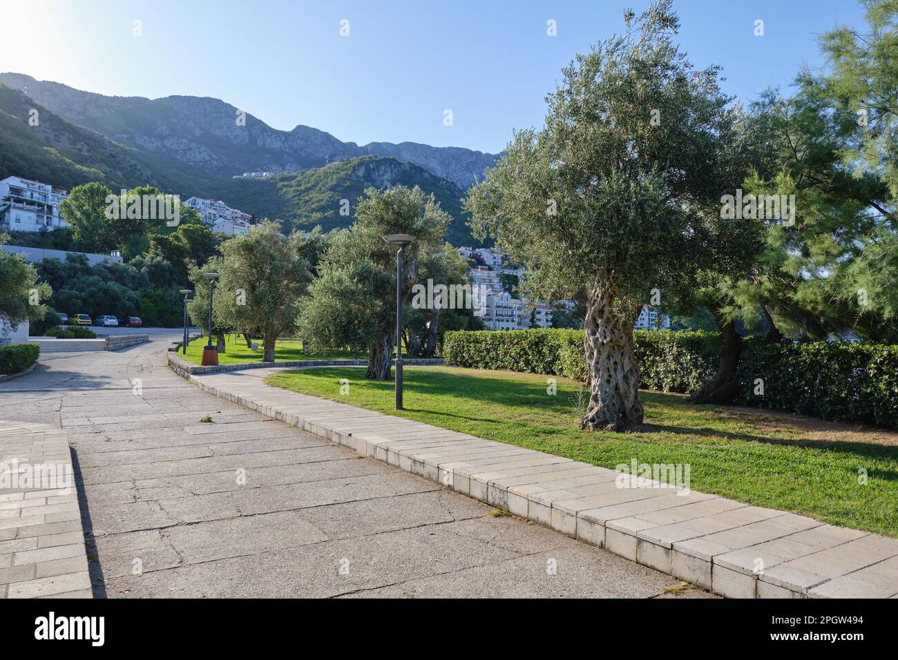 Öffentlicher Park mit grünem Rasen und Büschen in Montenegro an einem sonnigen Sommertag. Hotel in der Nähe des Sveti Stefan Strandes Stockfoto