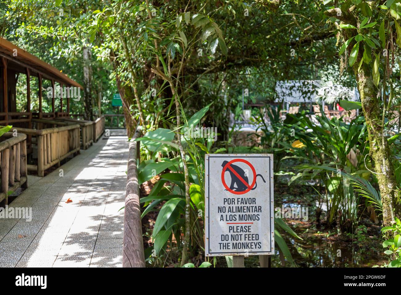 Tortuguero-Nationalpark, Costa Rica - Ein Schild an der Evergreen Lodge, einem Hotel im Küstenregenwald, fordert Besucher auf, die Affen nicht zu füttern. Stockfoto
