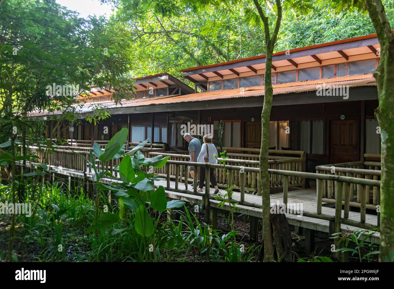 Tortuguero Nationalpark, Costa Rica - Evergreen Lodge, ein Hotel im Küstenregenwald. Stockfoto