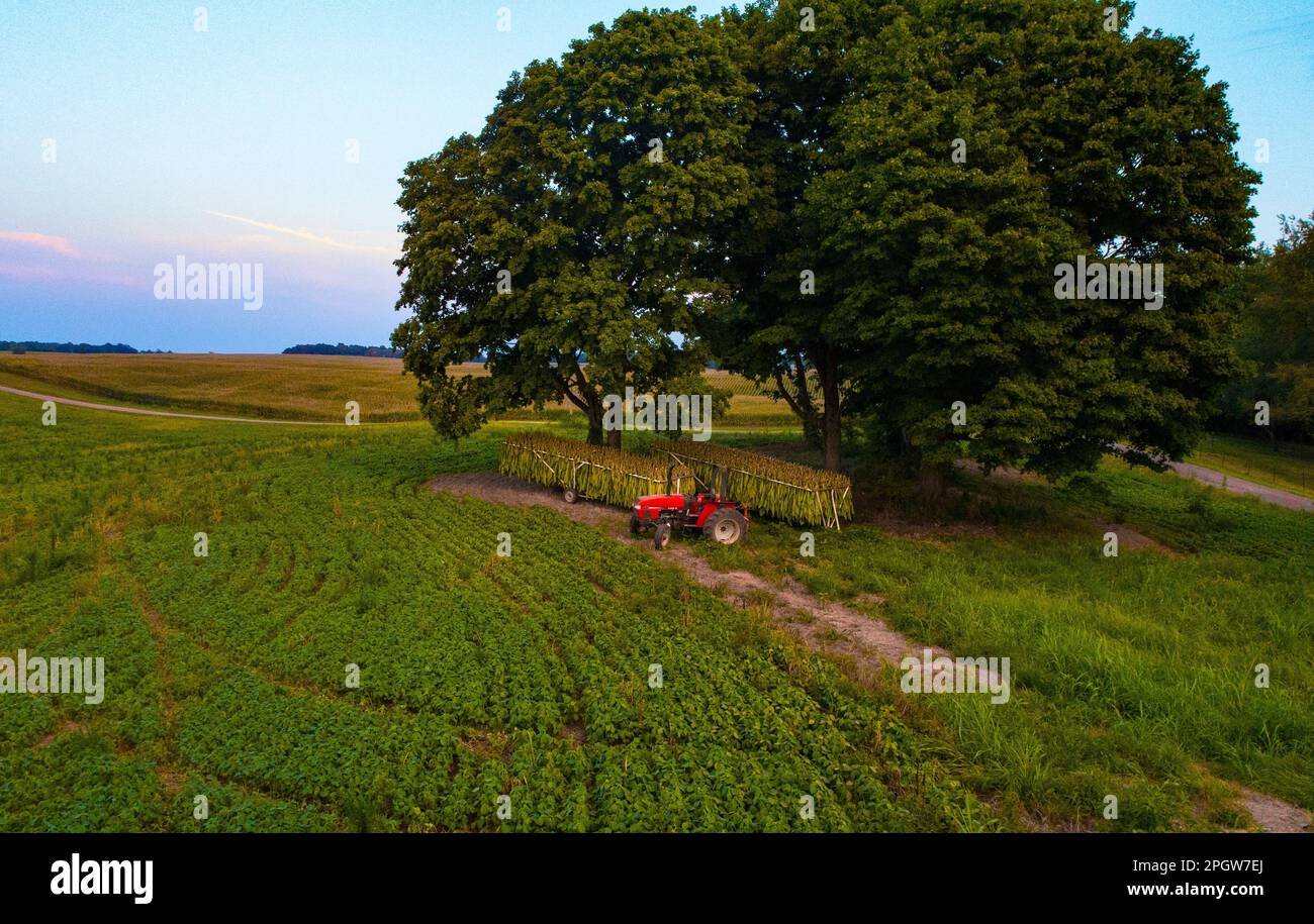 Ein leuchtend grünes Feld mit einem roten Traktor in der Mitte, hinter dem geparkt Stockfoto