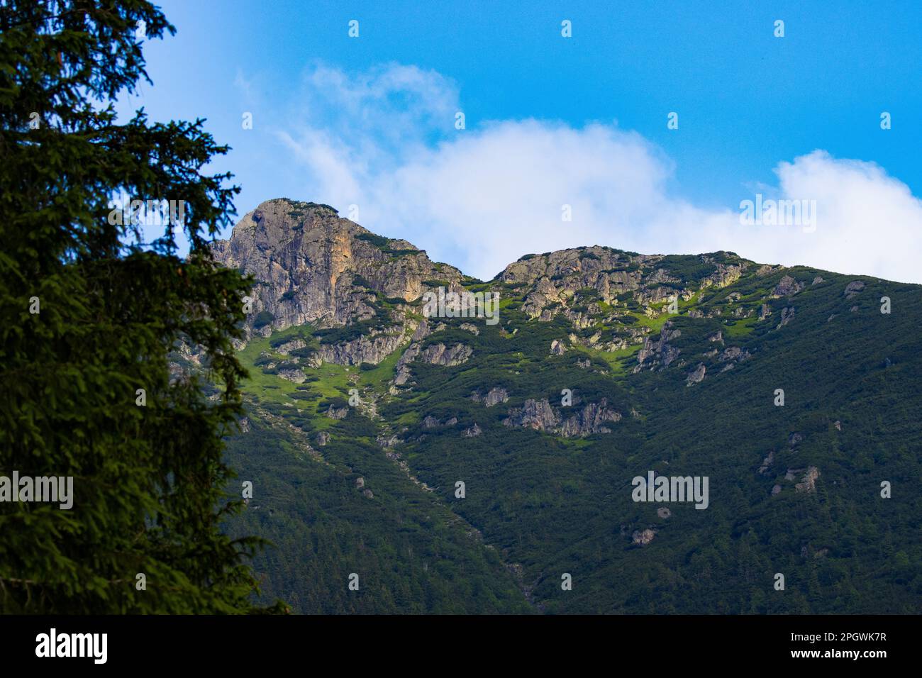 Tatra-Nationalpark. Polnische Gipfel im Sommer. Stockfoto