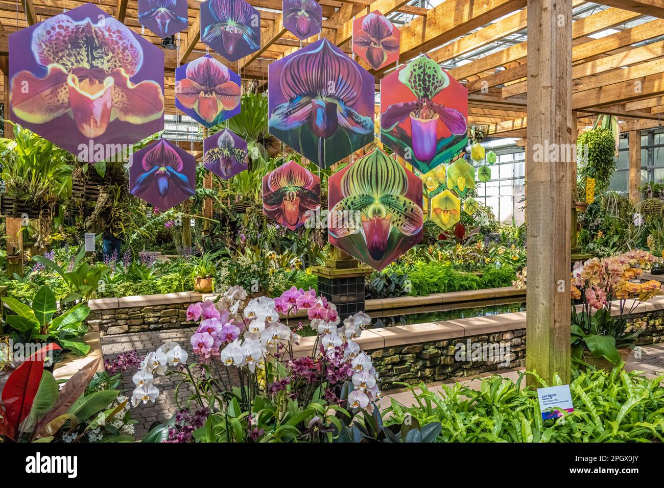 Fuqua Conservatory and Orchid Center im Atlanta Botanical Garden in Midtown Atlanta, Georgia. (USA) Stockfoto