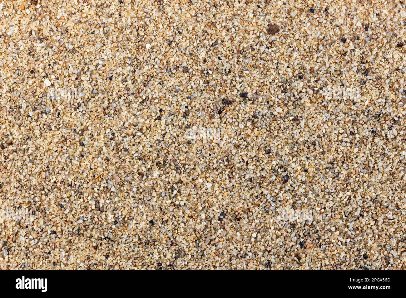 Feinkörniger Dünensand, abgeleitet vom Allison Member der Menefee Formation (Kreidezeit), McKinley County, New Mexico Stockfoto