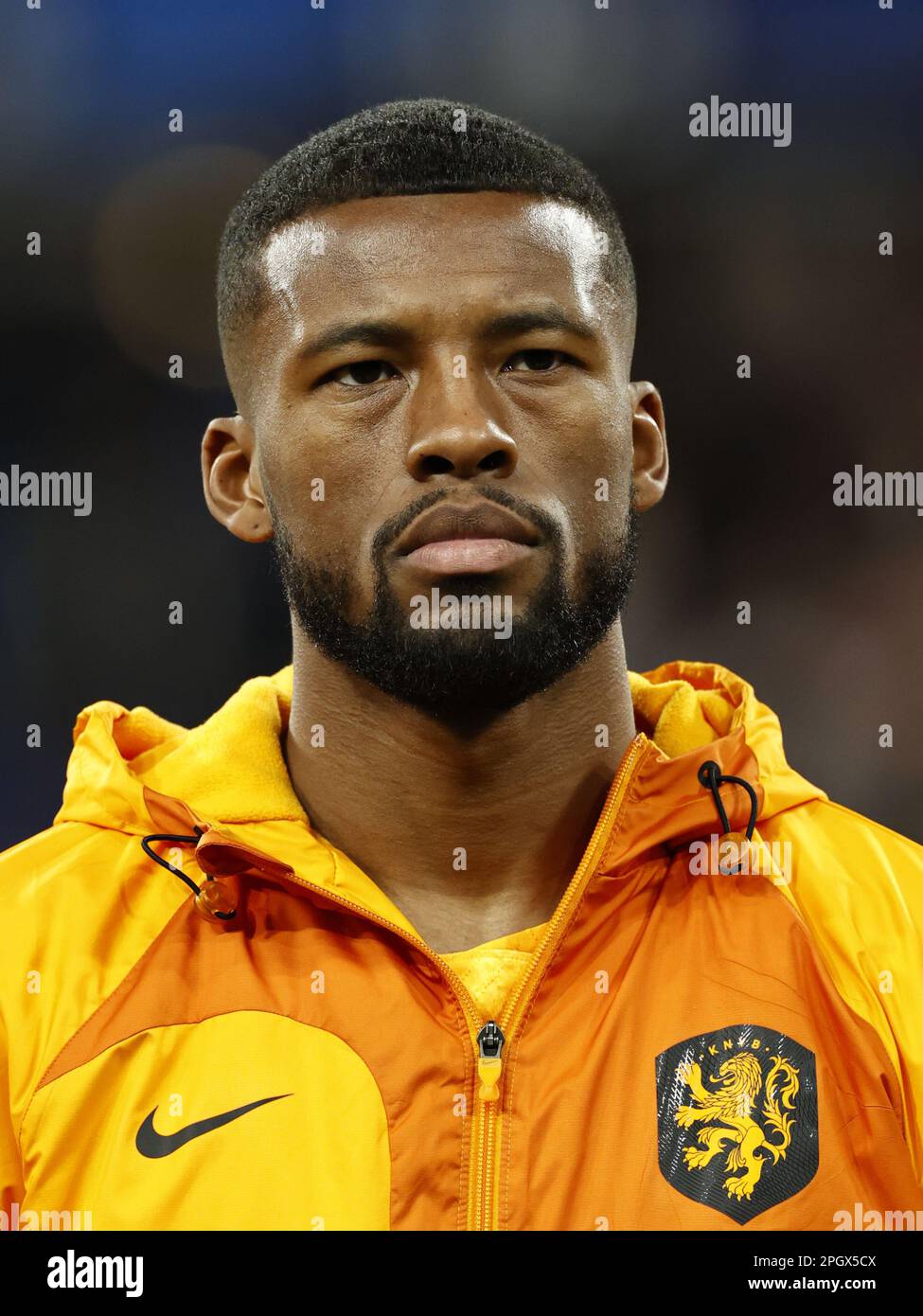 Georginio wijnaldum aus holland -Fotos und -Bildmaterial in hoher ... Georginio wijnaldum aus holland -Fotos und -Bildmaterial in hoher ...