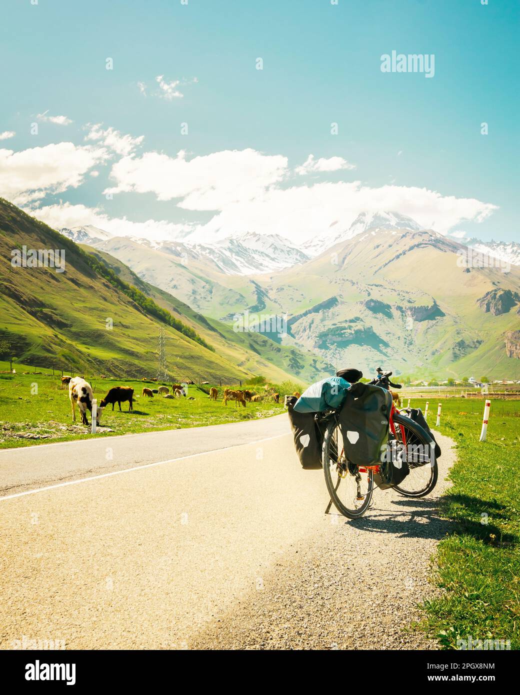 Rotes Touring-Fahrrad mit schwerer Ausrüstung in vier Koffer steht an der Seite der Asphaltstraße, umgeben von Sommerlandschaft und dem Hintern der kaukasusberge Stockfoto