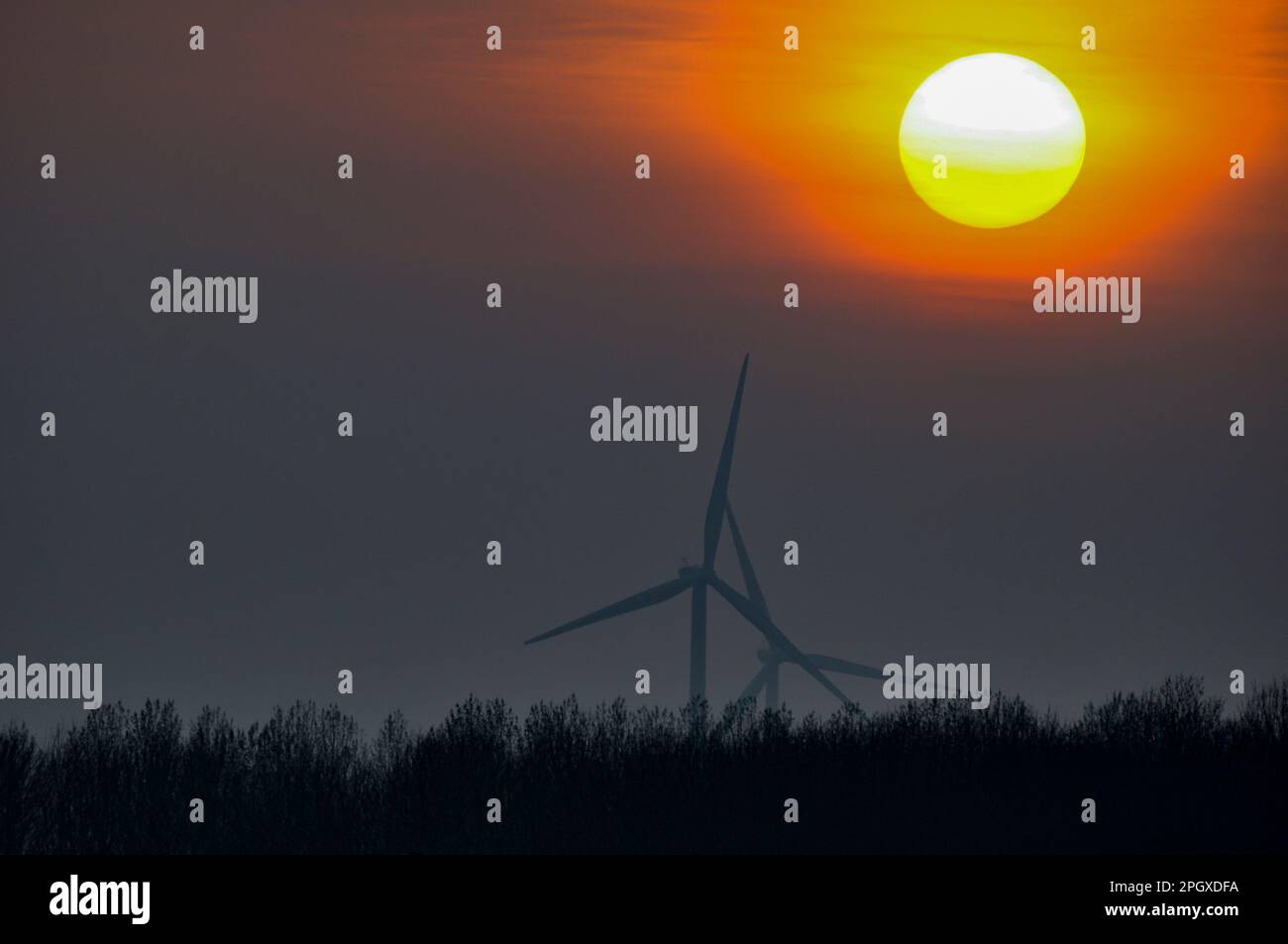 Windpark bei Sonnenuntergang. Sonnenuntergang hinter Windturbinen. Low Spinney Wind Farm, Ashby Magna, Leicestershire, Großbritannien Stockfoto