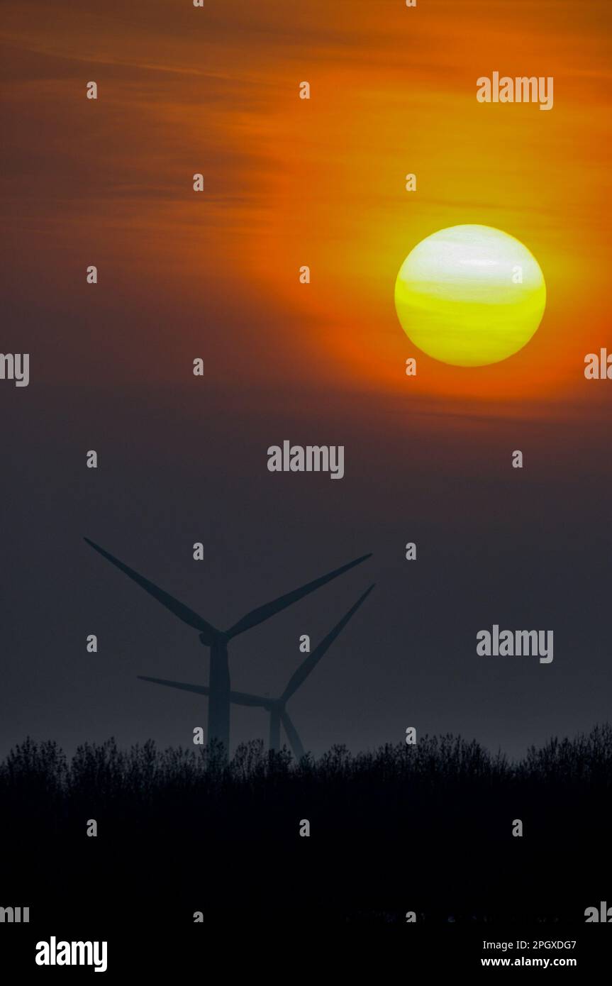 Windpark bei Sonnenuntergang. Sonnenuntergang hinter Windturbinen. Low Spinney Wind Farm, Ashby Magna, Leicestershire, Großbritannien Stockfoto