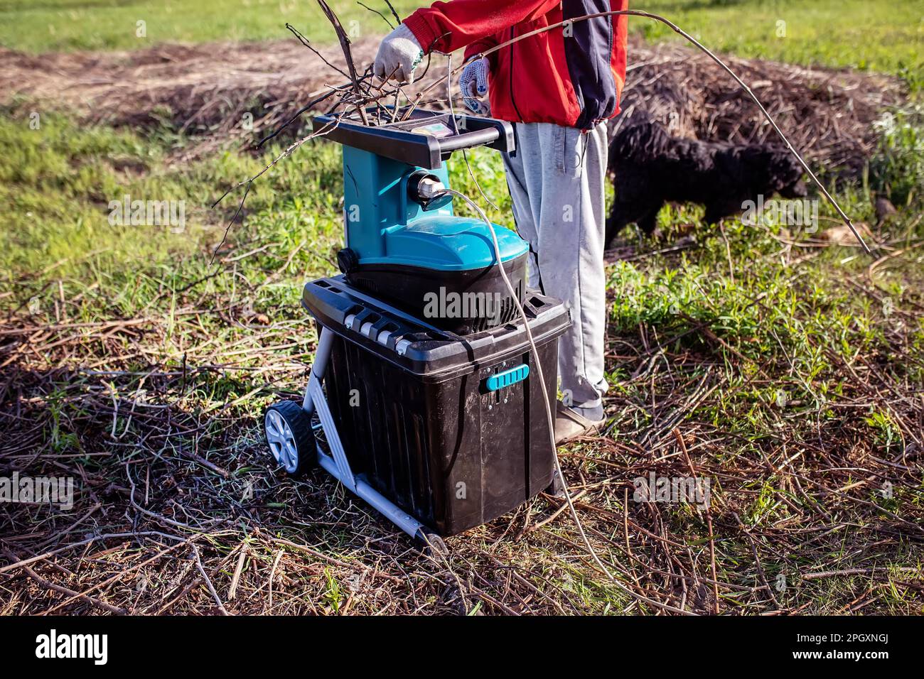 Elektrische Gartenschleifmaschine zum Schreddern. Im Prozess. Der