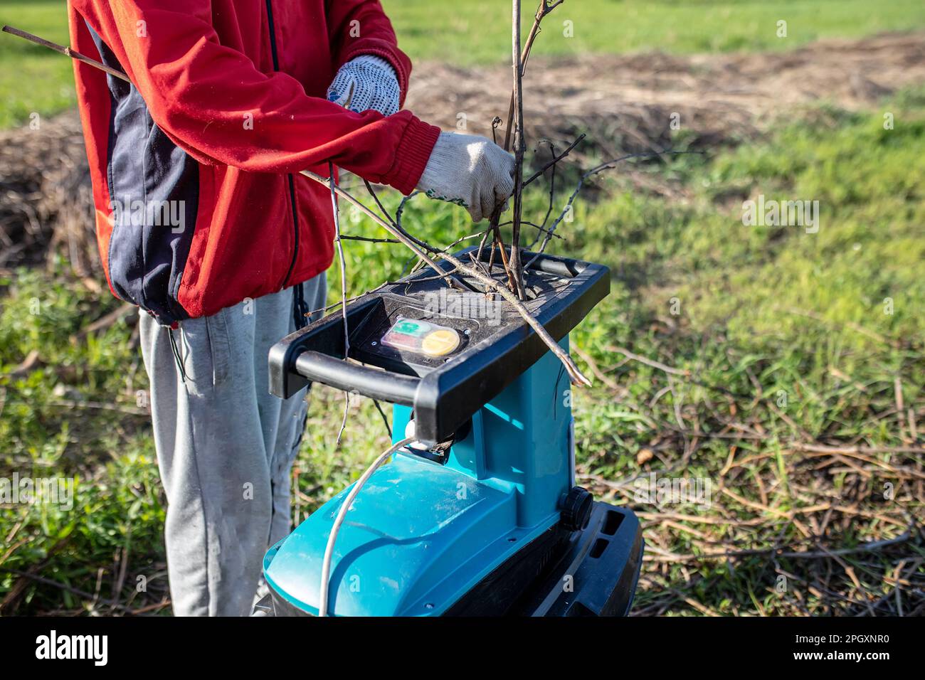 Elektrische Gartenschleifmaschine zum Schreddern. Im Prozess. Der