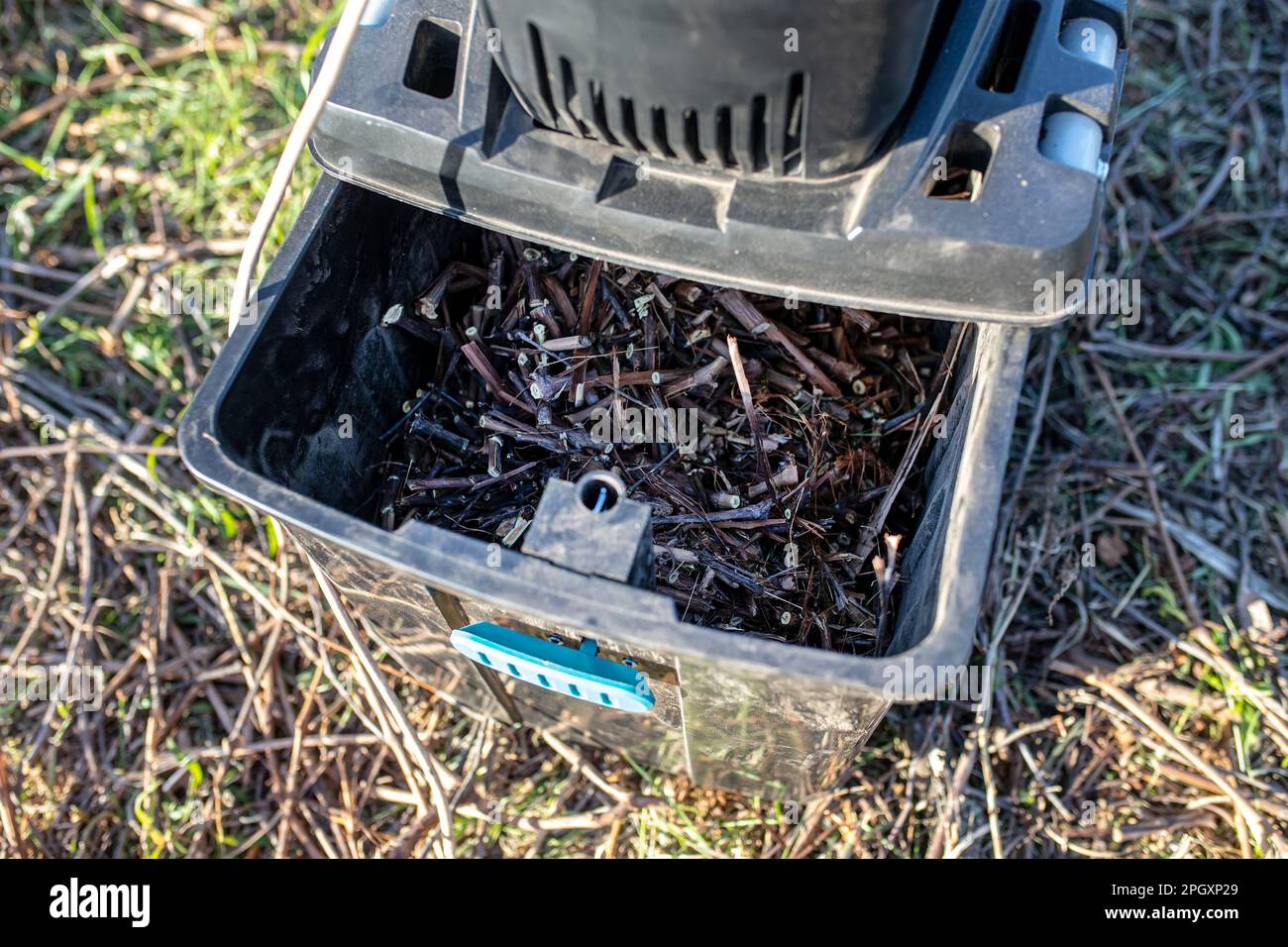 Zerkleinerte Zweige in der Sammelbox einer elektrischen