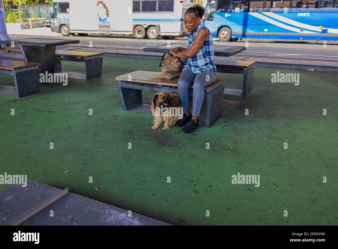 Nahaufnahme einer Frau mit Hund, die auf einer Bank unter der Brooklyn Bridge sitzt. New York. USA. Stockfoto