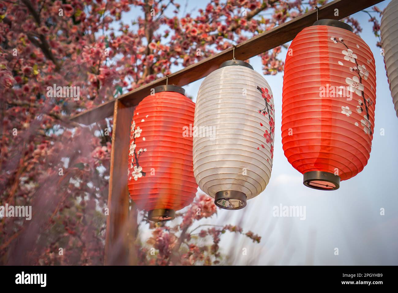 Hängende Laternen im japanischen Stil schmücken den Garten. Stockfoto