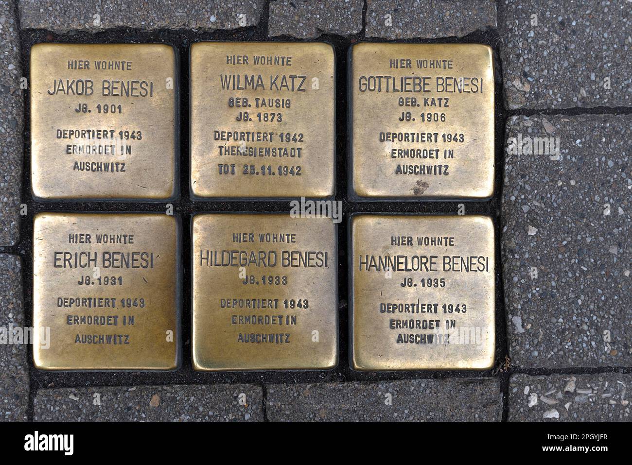 Stolperstein, Kupferdenkmäler ermordeter jüdischer Mitbürger während der Nazizeit, Erlangen, Mittelfrankreich, Bayern, Deutschland Stockfoto
