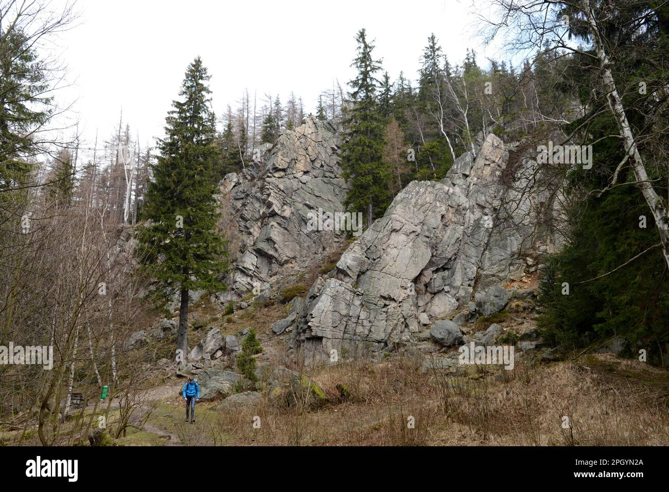 Raven Rock, Karpacz, Giant Mountains, Niederschlesien, Polen Stockfoto