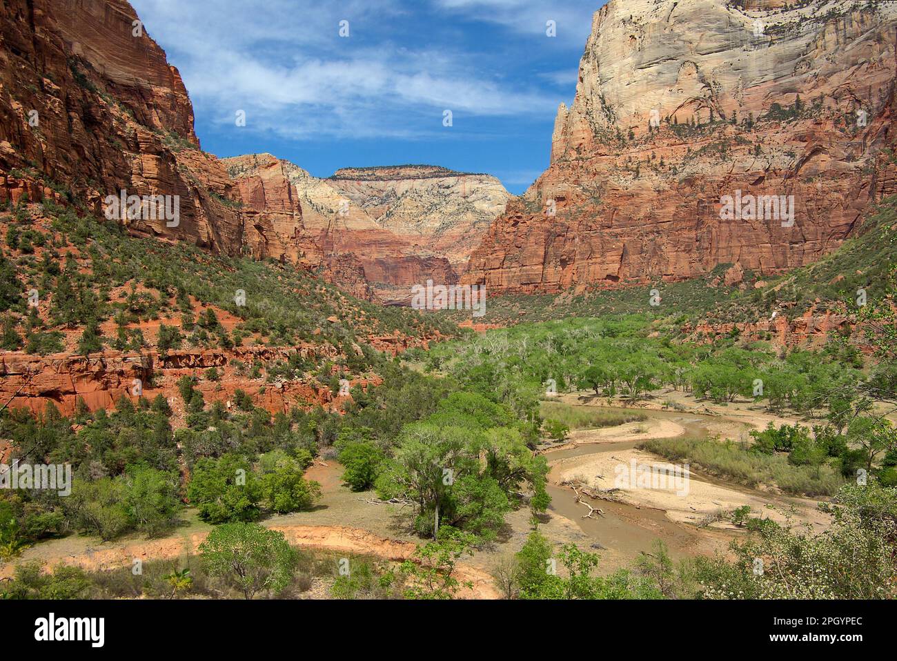 Virgin River, Zion Nationalpark, Utah, USA Stockfoto