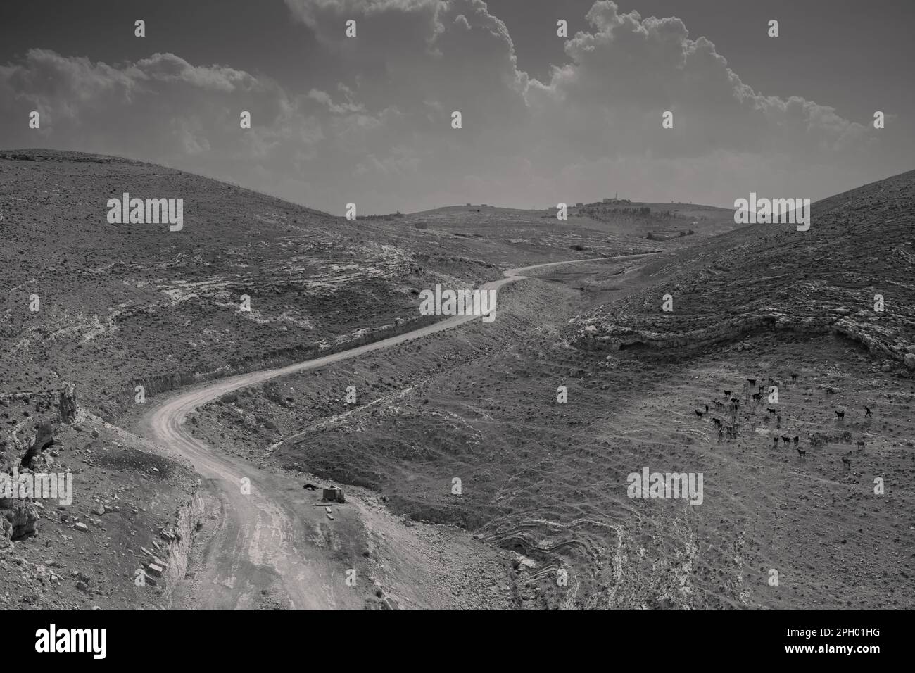 Berglandschaft in der Nähe von Mukawir oder Machaerus, Jordanien mit Dirt Track und Ziegenherde Stockfoto
