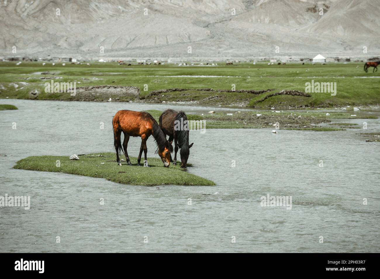 Der Alar National Wetland Park ist umgeben von hohen Bergen, mit Graslandschaften und kleinen Flüssen Stockfoto