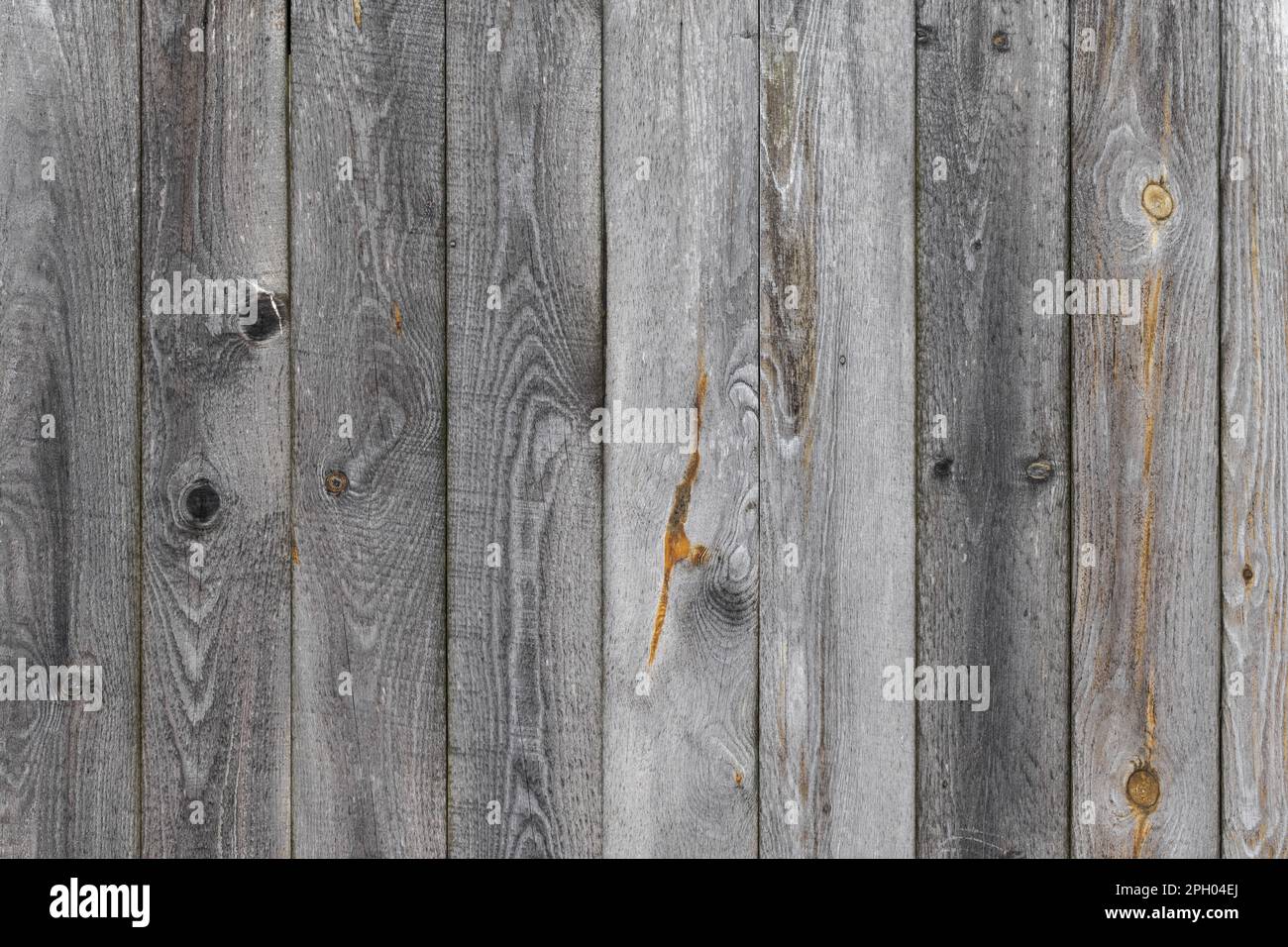 Graue Holzwand aus unfarbigen Planken aus Kiefernholz, Fotostruktur im Hintergrund, Vorderansicht Stockfoto