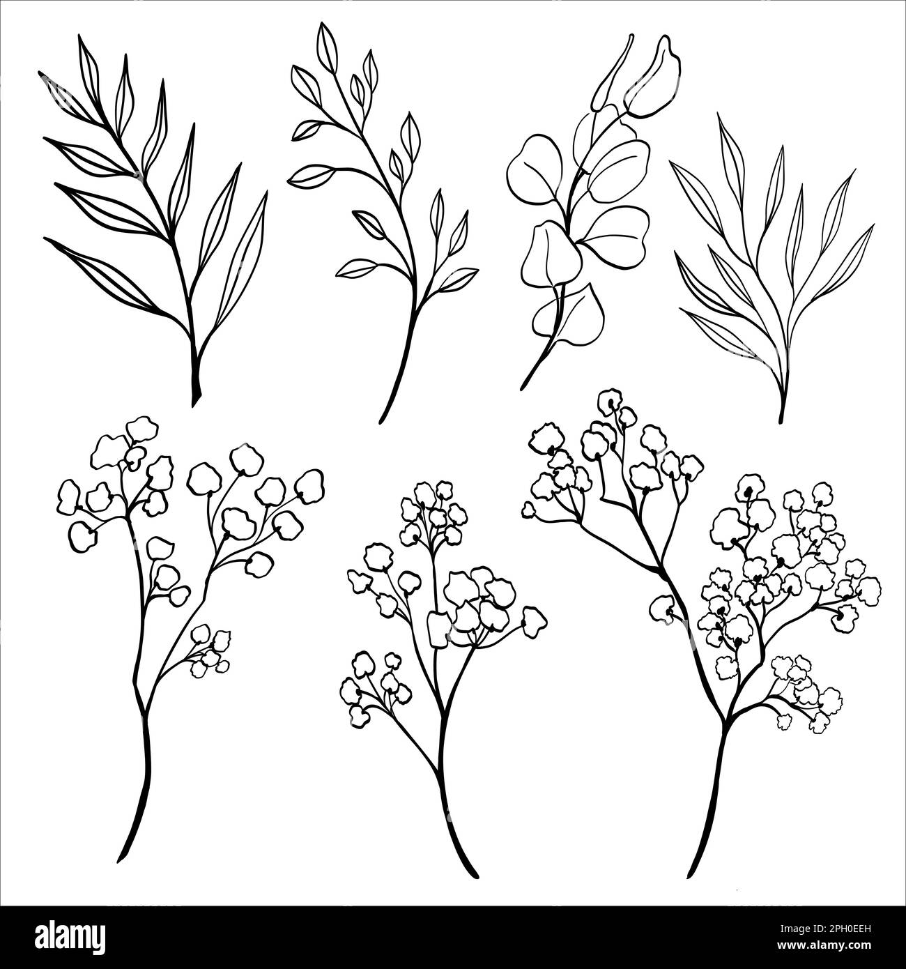 Vektorsatz von Hand gezeichnet mit verschiedenen Silhouettenzweigen mit Blättern und Gipsophila-Zweigen auf weißem Hintergrund. Darstellung des Blumenvektors. Großartig für Stock Vektor