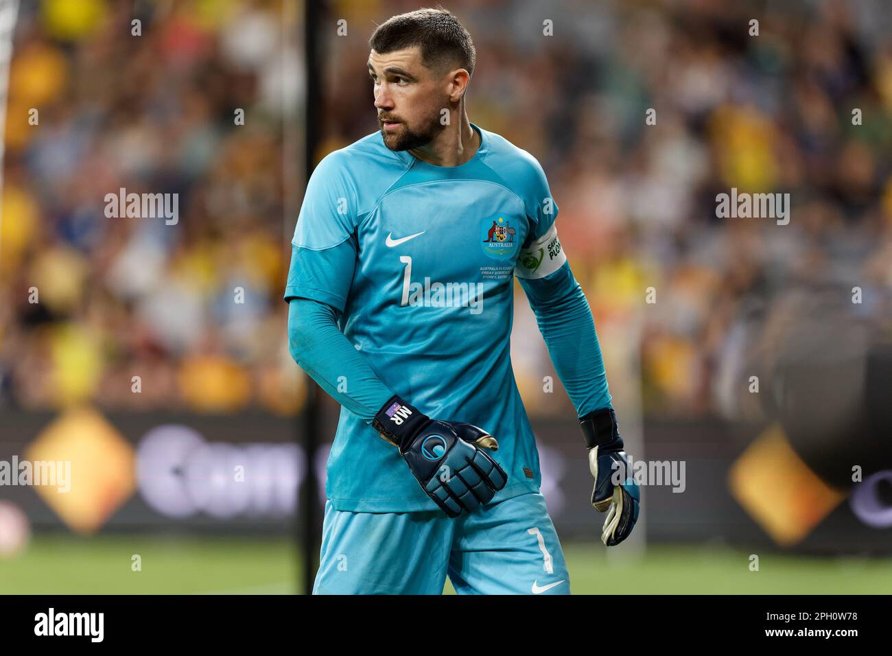 Mathew Ryan aus Australien schaut auf das Spiel zwischen Australien und