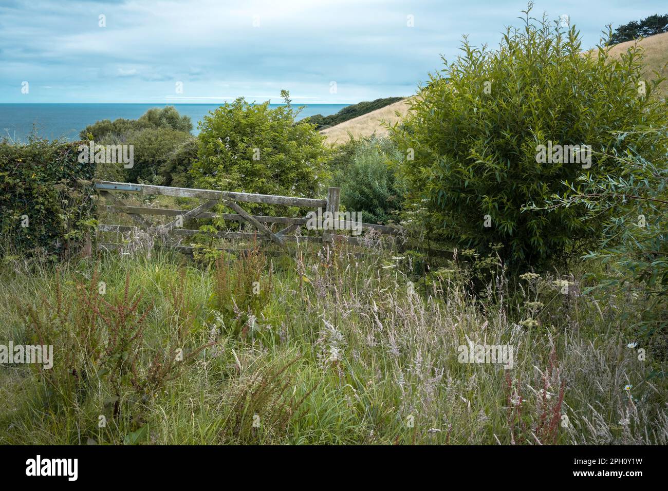 Wilde Küste auf der Halbinsel Roseland, Cornwall, Großbritannien Stockfoto