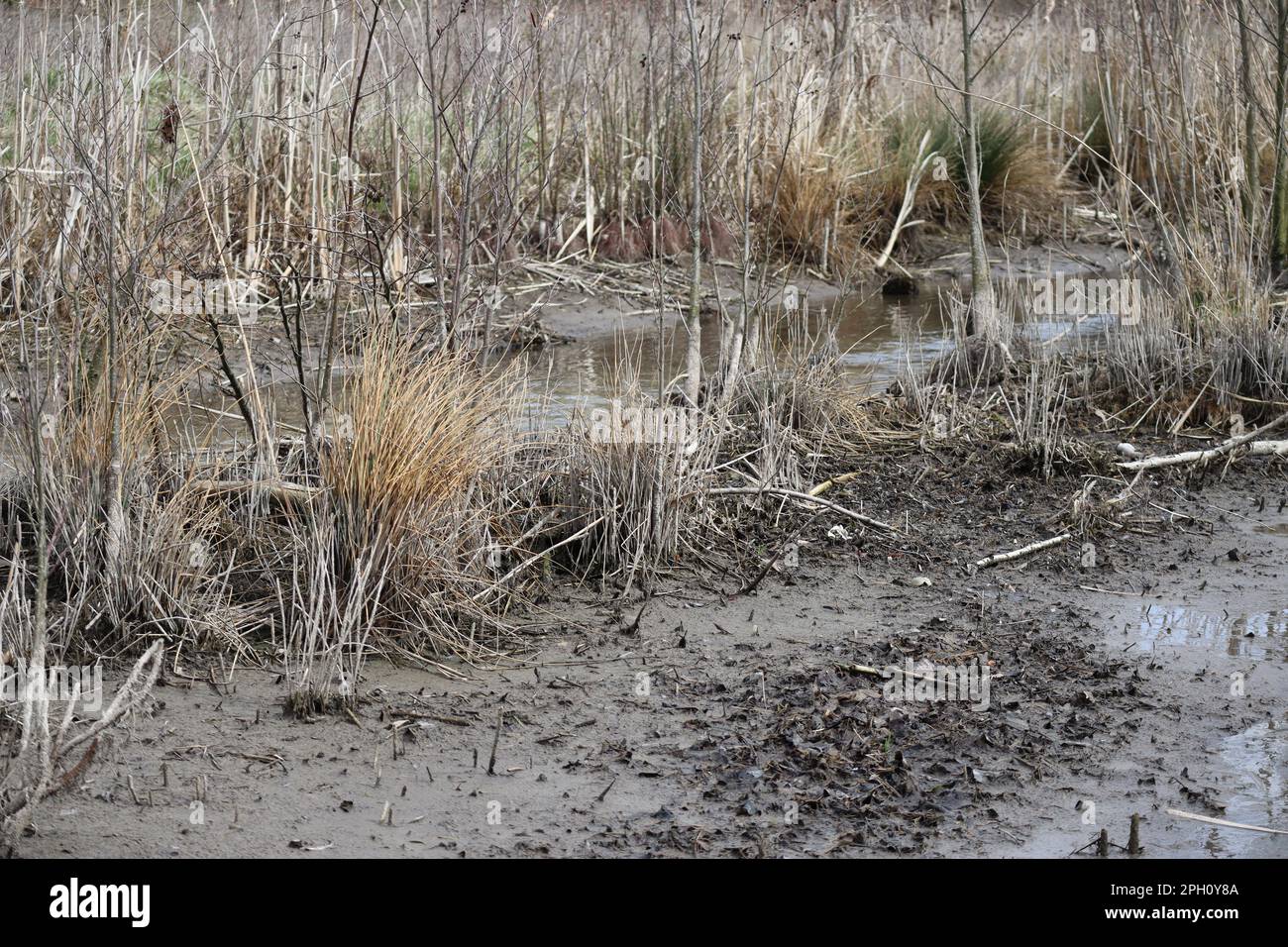 Das Flussbett wurde durch veränderte Wasserstände herausgespült Stockfoto