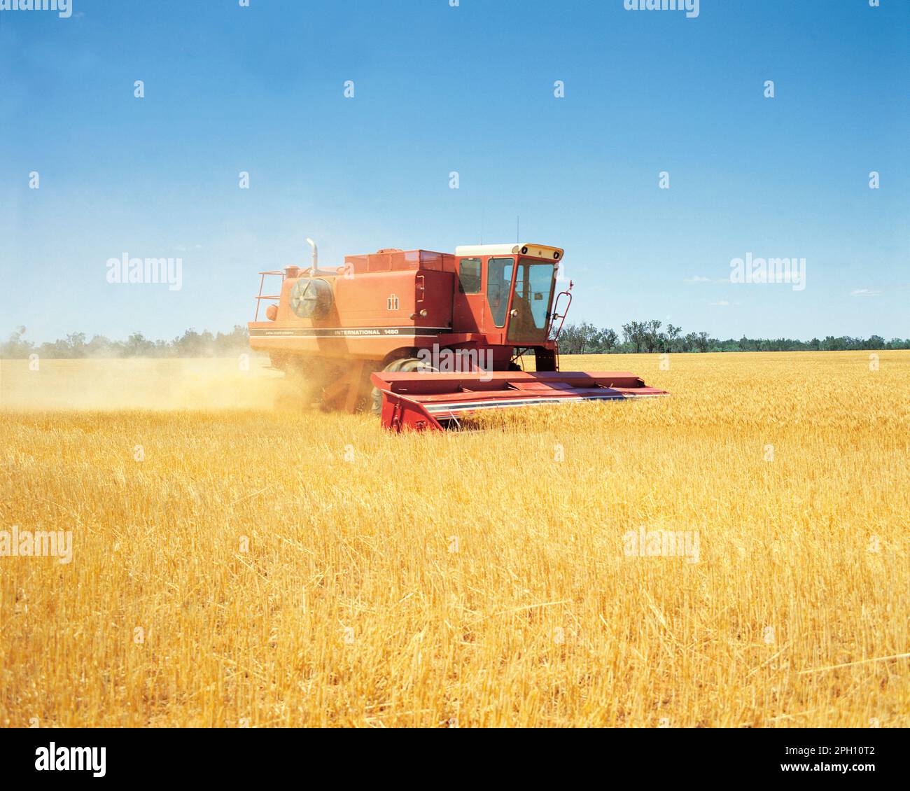 Australien. Landwirtschaft. Weizenernte. Mähdrescher. Stockfoto