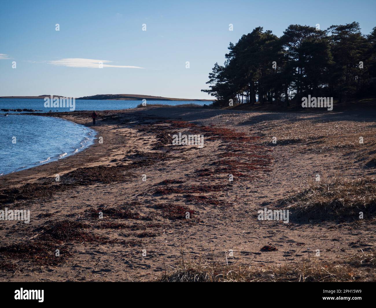 Landschaftsblick auf den Strand am Larkollen in Moss, Norwegen - 2023. Stockfoto