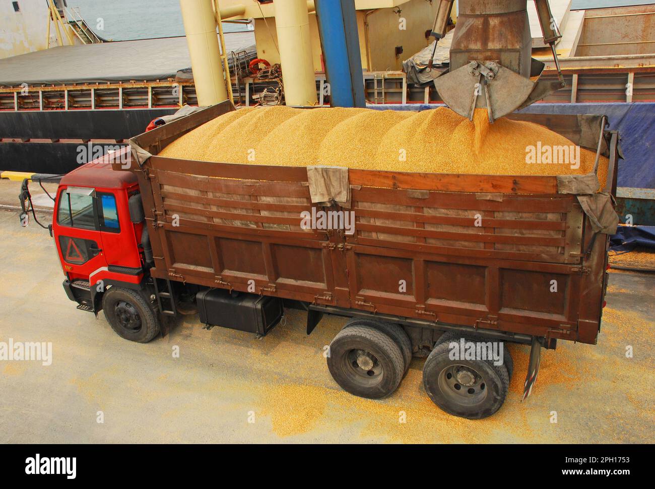 Verladung von Getreide in einen Lkw-Aufbau am Hafen-Terminal Stockfoto