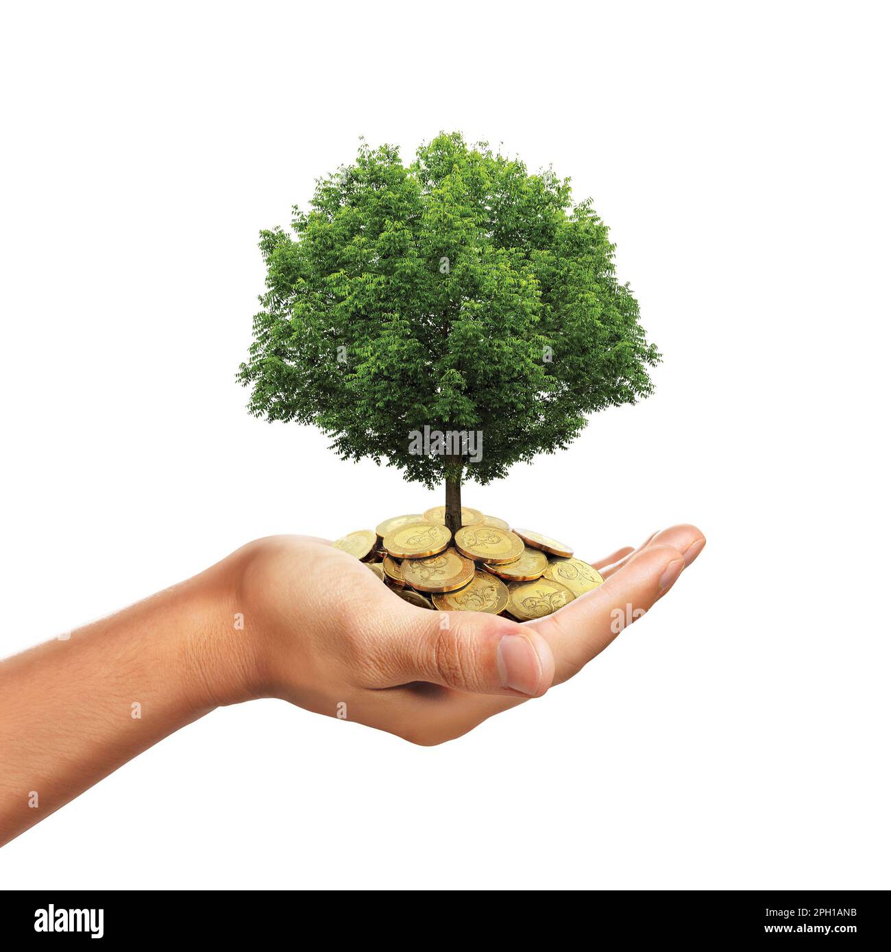 Ein Stapel goldener Münzen, die sich in der Hand halten, während der Baum wächst Stockfoto