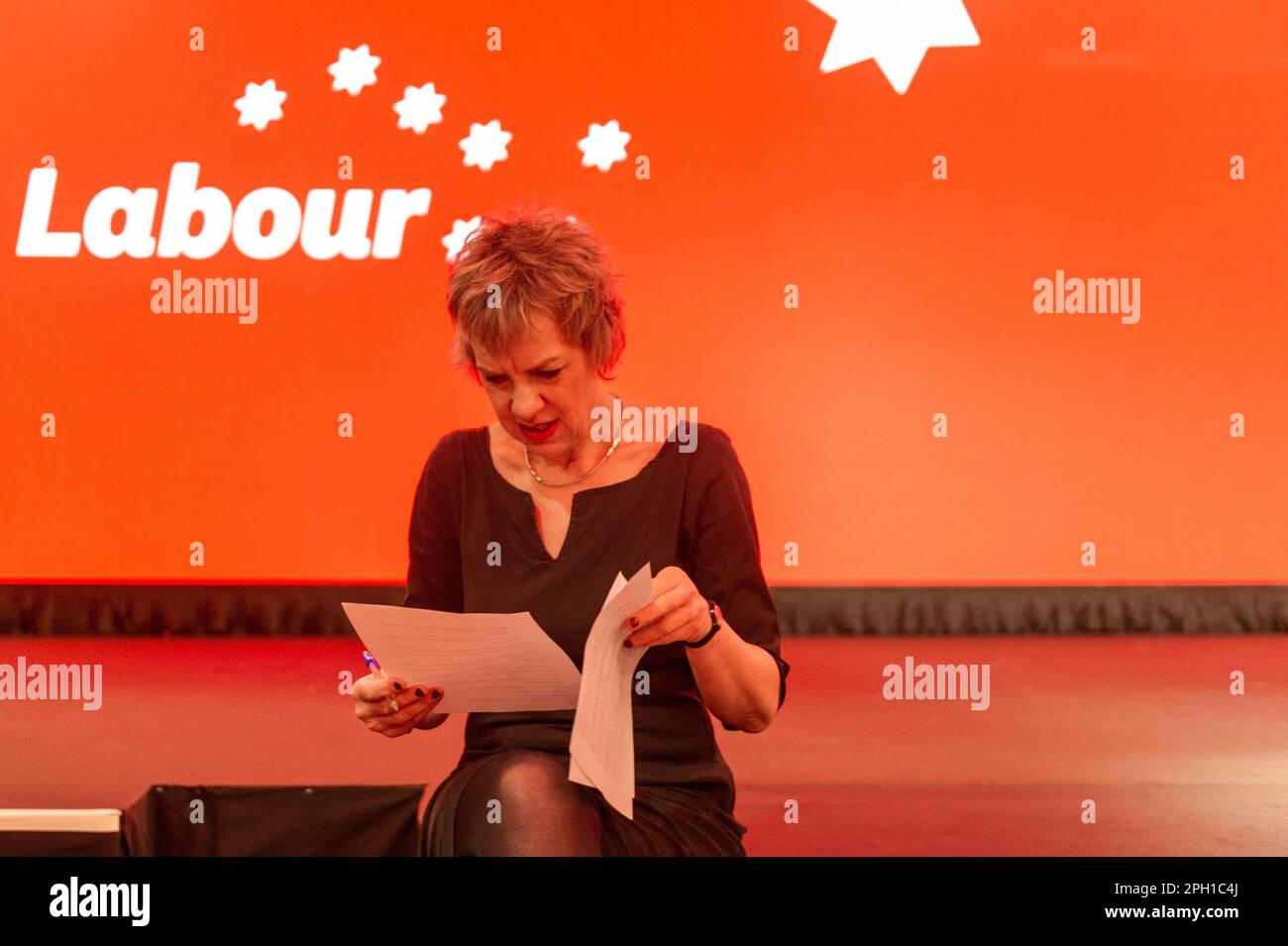 Cork, Irland. 25. März 2023. Die 72. labour-Party-Konferenz findet heute im Silver Springs Hotel in Cork statt. Die Vorsitzende der Labour Party, Ivana Bacik, übt ihre Grundsatzrede, bevor sie sie heute Abend zur Konferenz hält. Kredit: AG News/Alamy Live News Stockfoto