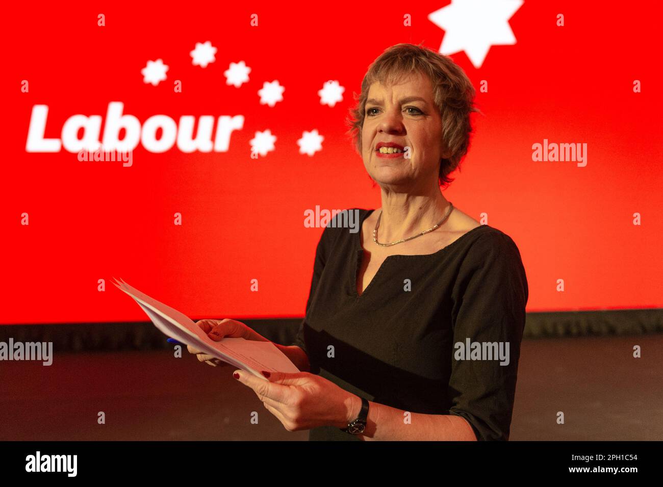 Cork, Irland. 25. März 2023. Die 72. labour-Party-Konferenz findet heute im Silver Springs Hotel in Cork statt. Die Vorsitzende der Labour Party, Ivana Bacik, übt ihre Grundsatzrede, bevor sie sie heute Abend zur Konferenz hält. Kredit: AG News/Alamy Live News Stockfoto