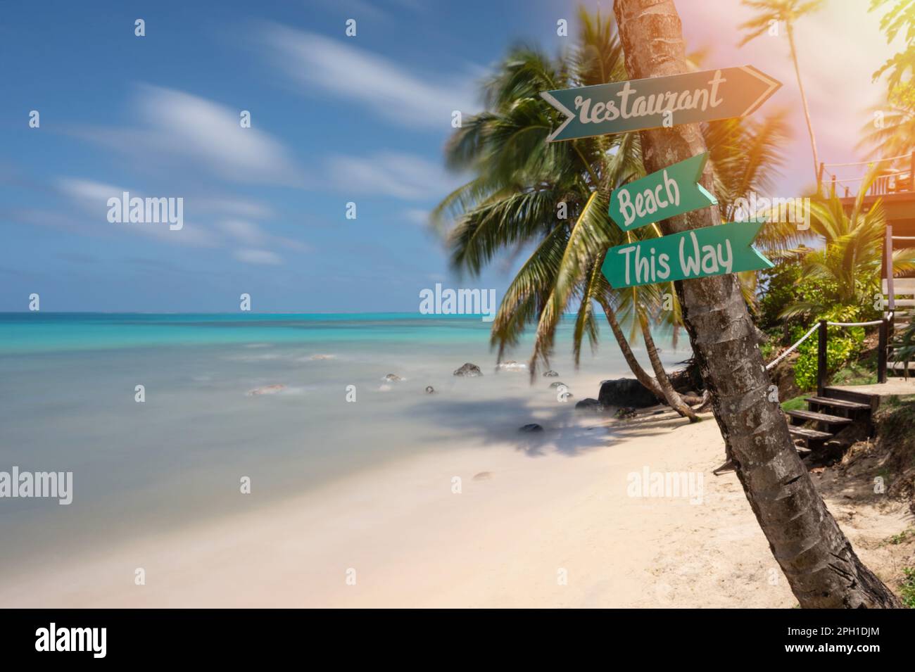 Holzpfeilschild am Strand auf Palmen im karibischen Meereshintergrund Stockfoto