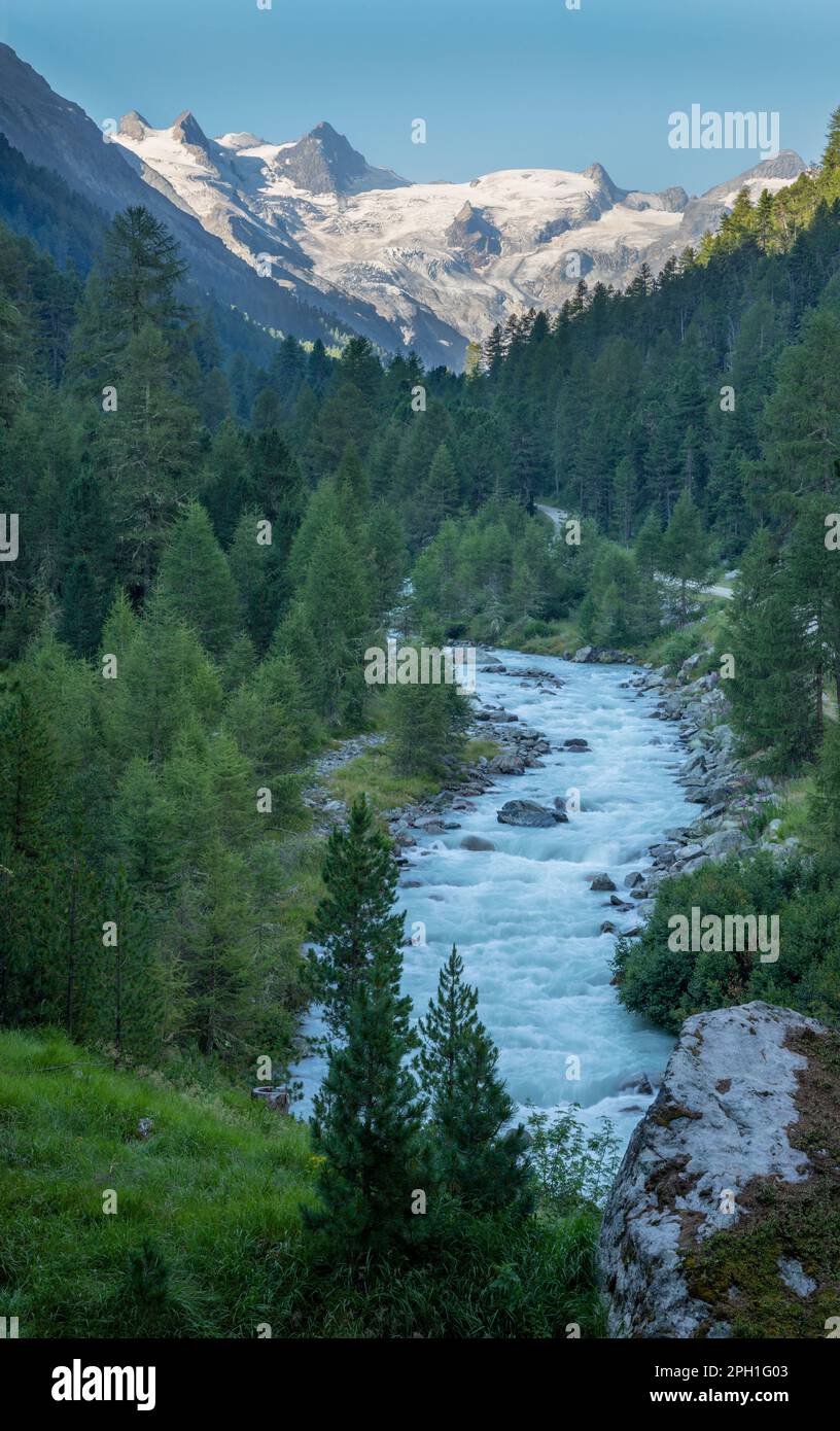 Schweiz - das Roseg-Tal unter den Gipfeln Il Caputschin, La Muongia, Forcola Alta und Roseg-Gletscher. Stockfoto
