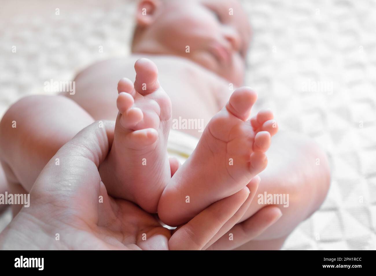 Mutter hält Babyfüße in den Händen. Beine Neugeborene in der Hand weiblicher Eltern. Kleine Kinderfüße in der Palme der Mutter. Nahaufnahme. Kleine Zehen von Kind und Frau Stockfoto