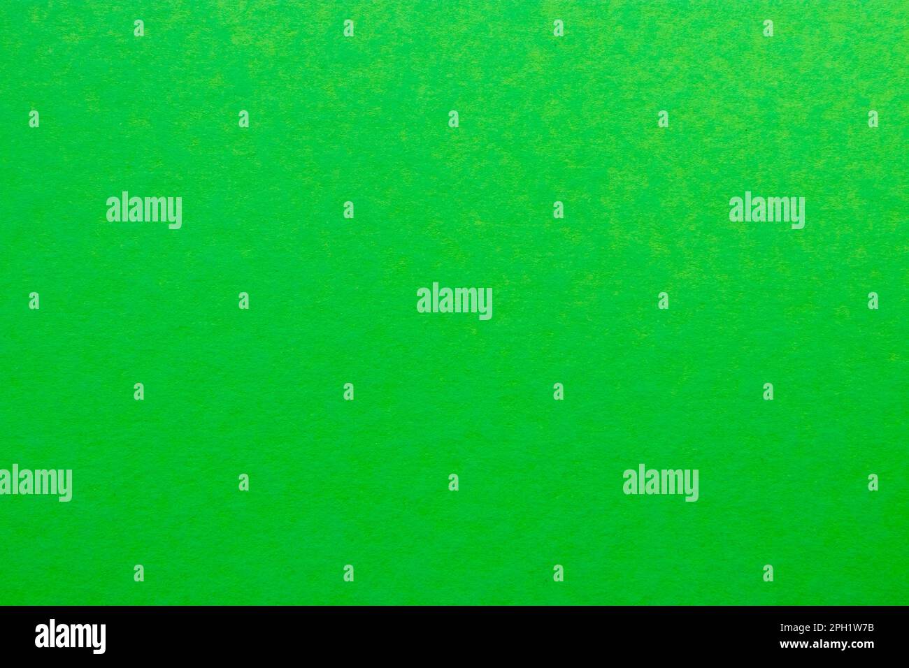 Hellgrüner, getönter Papierhintergrund. Stockfoto