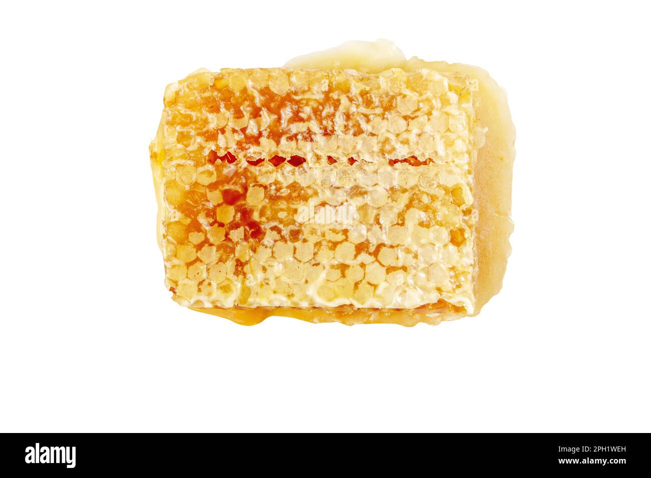 Honig in den Wabenhexagonalzellen aus weiß isoliertem Wachs. Kammhonig. Stockfoto