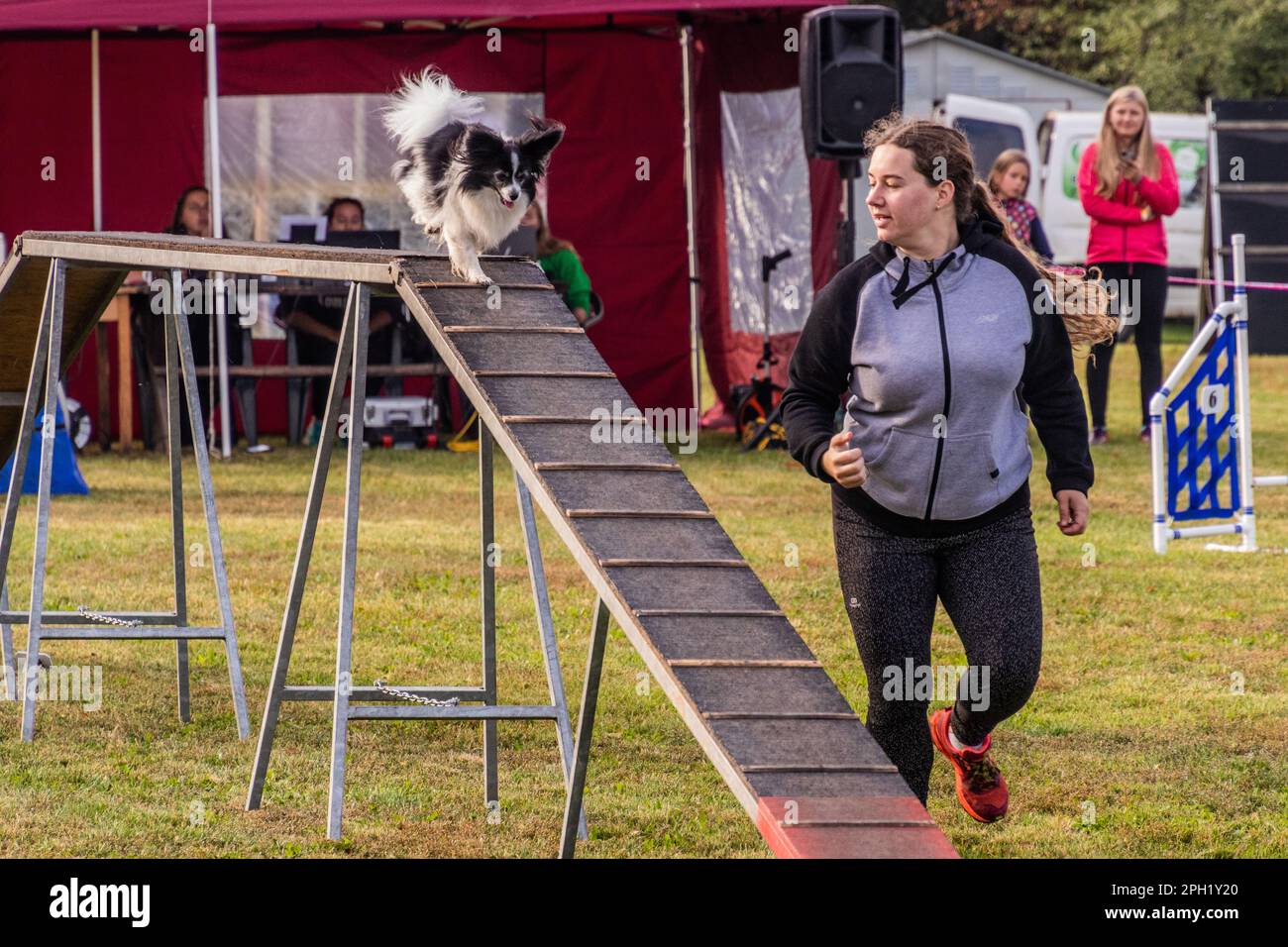 LYSA NAD LABEM, TSCHECHISCHE REPUBLIK - 26. SEPTEMBER 2021: Hund und Handler überfahren Hindernis während des Agilitätswettbewerbs in Lysa nad Labem, Tschechische Republik Stockfoto