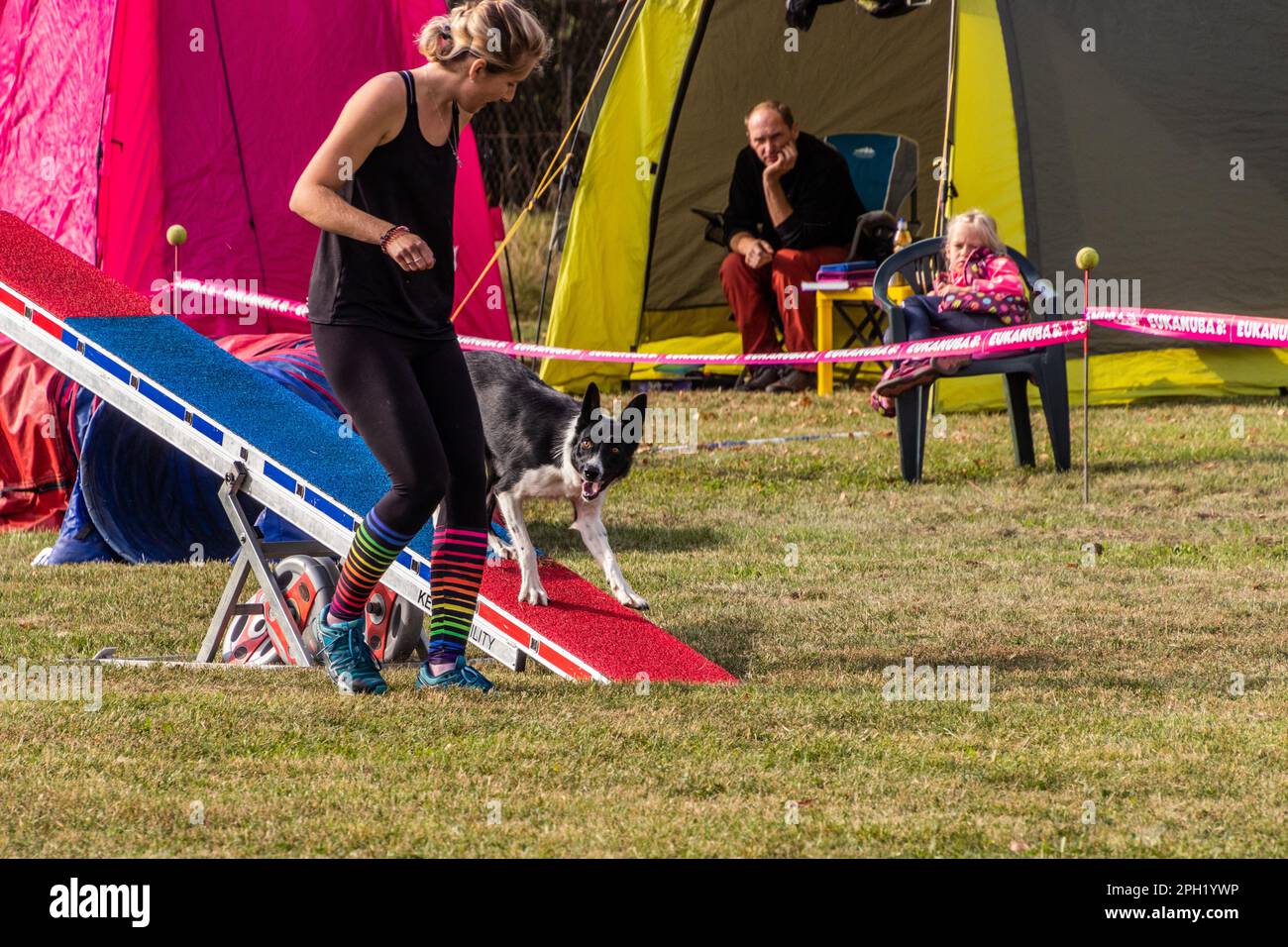LYSA NAD LABEM, TSCHECHISCHE REPUBLIK - 26. SEPTEMBER 2021: Hund und Handler überfahren beim Agilitätswettbewerb in Lysa nad Labem, Tschechische Republik Stockfoto
