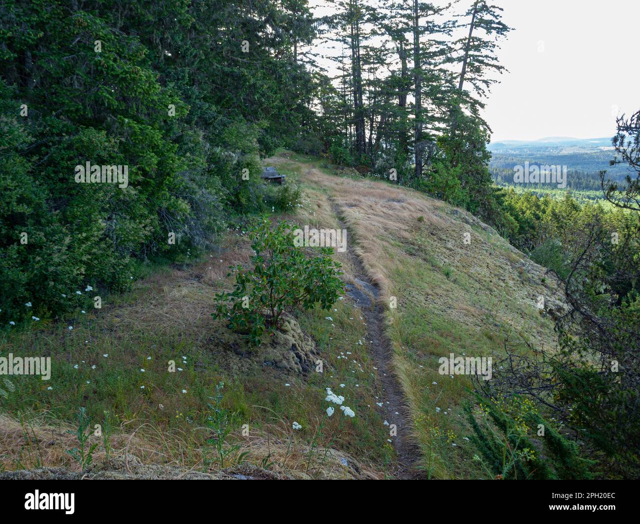 BC00658-00...BRITISH COLUMBIA - Sunshine Coast Trail überquert die felsigen Gilbralter Cliffs. Stockfoto